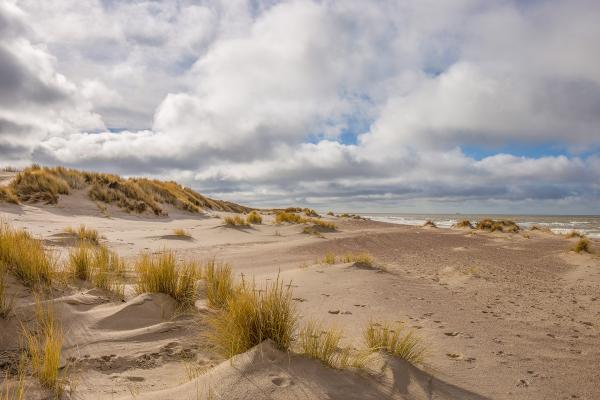 Duinen Oranjezon