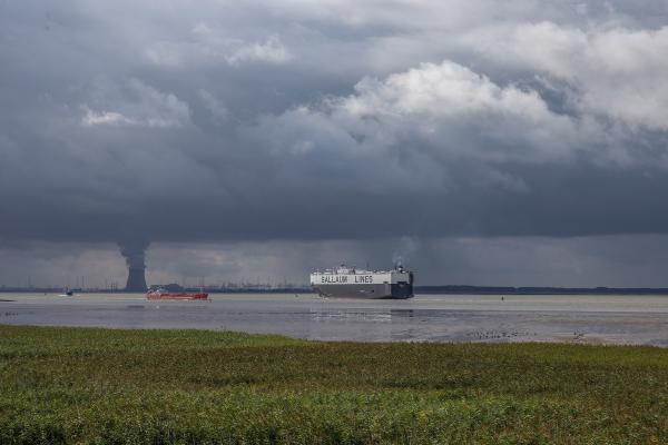 Scheepvaart over de Westerschelde