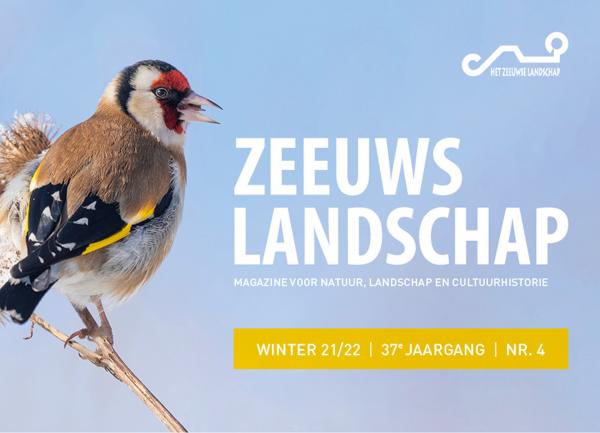 Teaser nieuwe tijdschrift