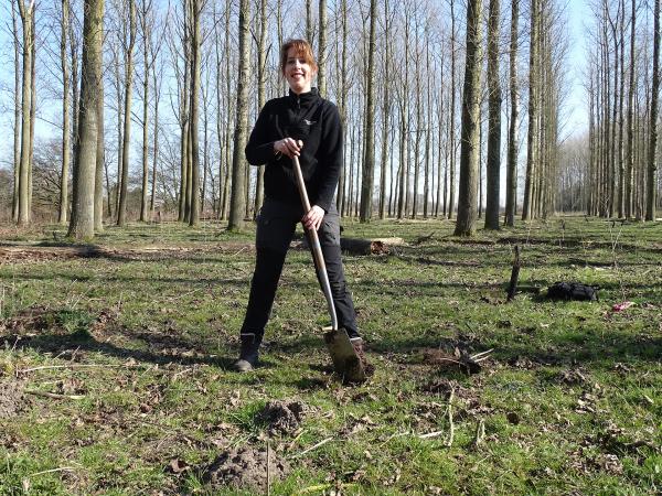 Vrijwilliger plant boom in de Clingse bossen