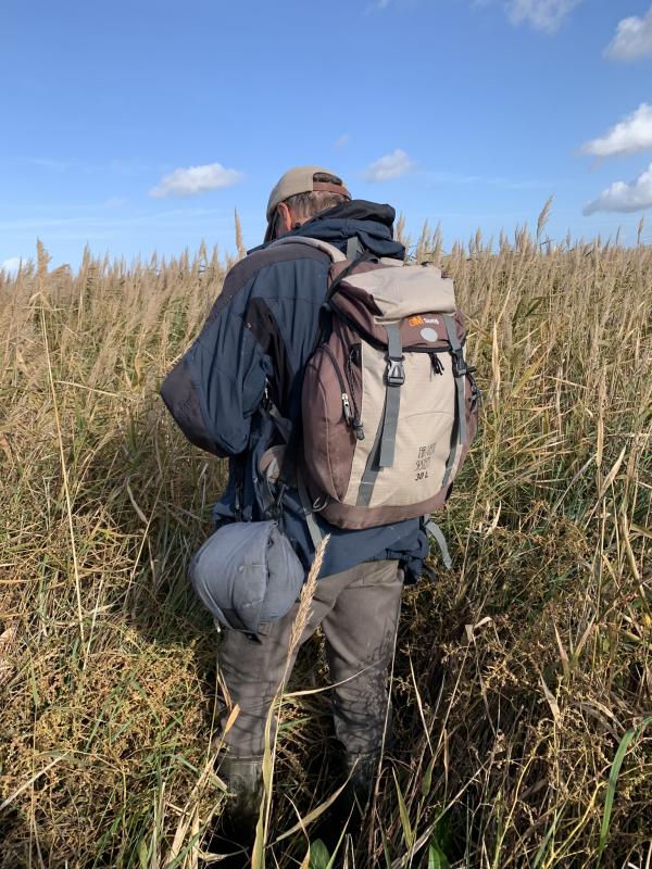 Huub vogelteller in hoog gras Saeftinghe