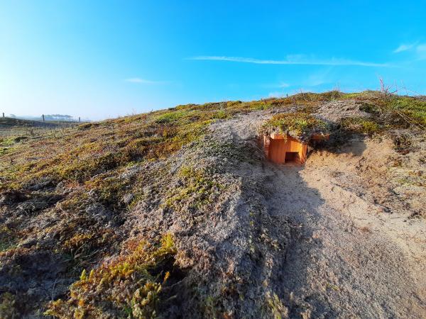 Tapuitennestkast in de duinen van Oranjezon