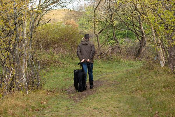 Hond in natuurgebied