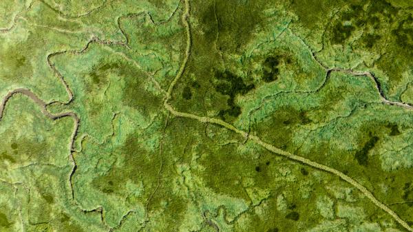 Luchtfoto Rumoirtschorren Zeeland Andy Troy