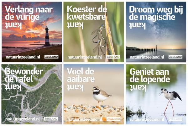 Overzicht van diverse uitingen voor de Zeeuwse Natuur campagne