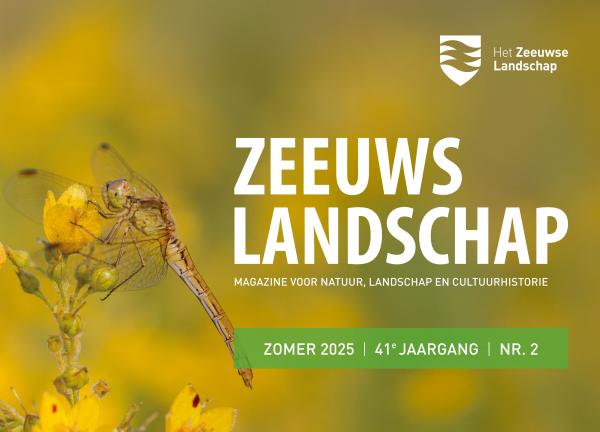 Banner zomernummer 2025