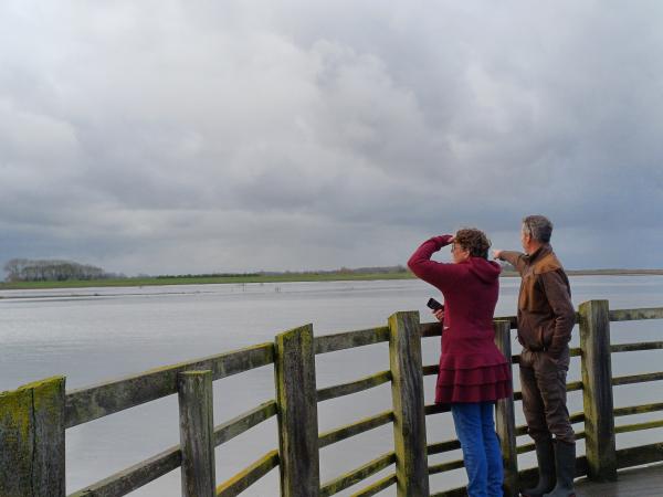 man en vrouw kijken op brug uit over water
