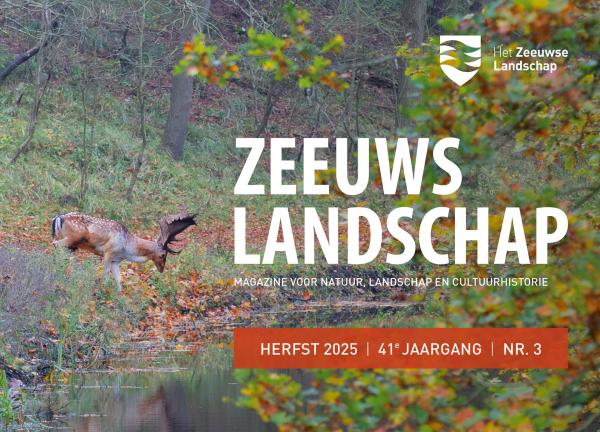 Banner herfsteditie Zeeuws Landschap