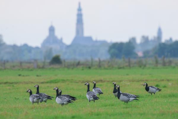 Walcheren - Oude Veerseweg, Middelburg