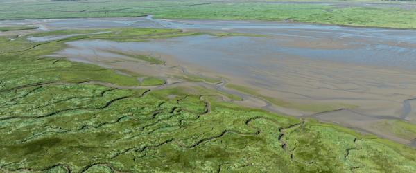 Slikken en Schorren landschap Zeeland - Verdronken Land van Saeftinghe