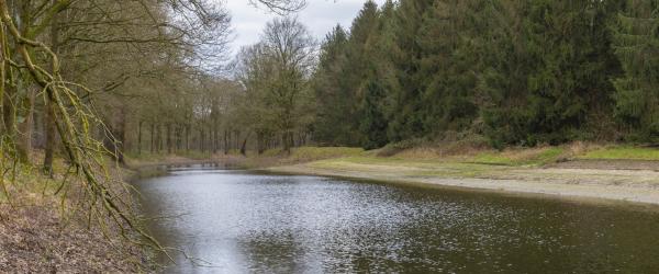 Bossen als landschap Zeeland - Clingse bossen, Waterwinbossen