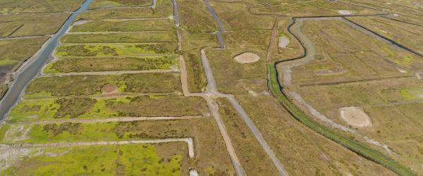 Kreekruggen en poelgronden landschap Zeeland - Yerseke Moer