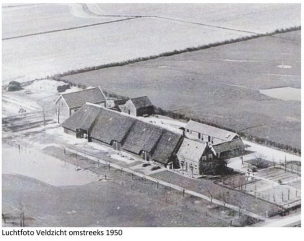 Luchtfoto Veldzicht omstreeks 1950