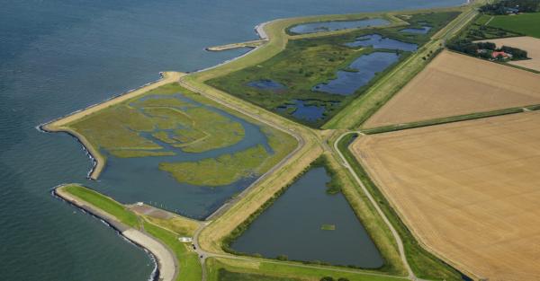 Dijken in Zeeuws landschap - Inlaag Noord-Beveland