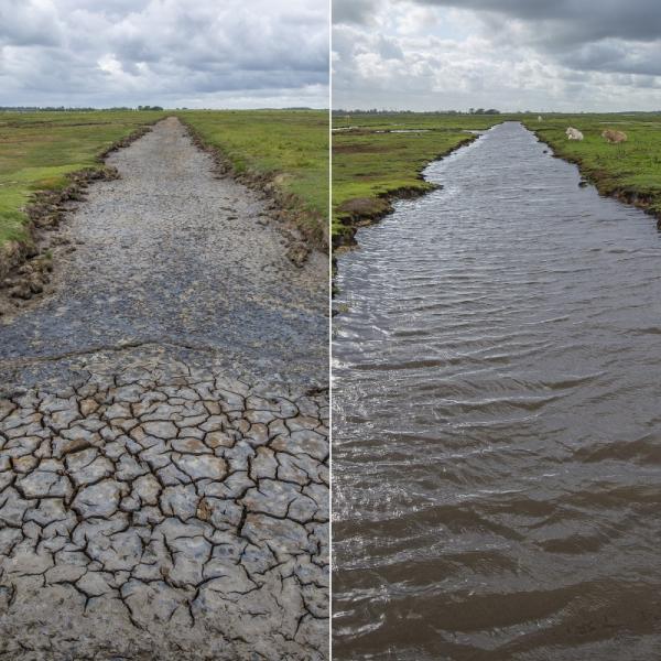 Yerseke Moer vergelijk droogte