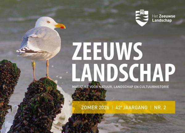 Banner zomernummer