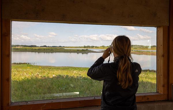 Dame kijkt door verrekijker in vogelkijkhut