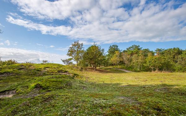 Grasland Oranjezon met blauwe lucht