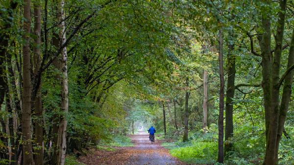 Fietser in een bosrijke omgeving