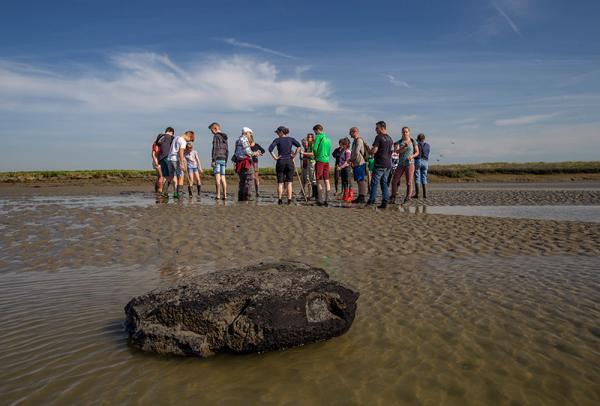 Excursie deelnemers staan in de modder