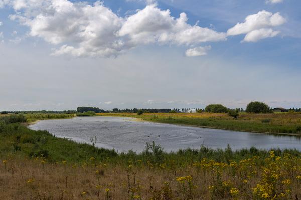 Zicht op de voormalige kreek in de Sophiapolder