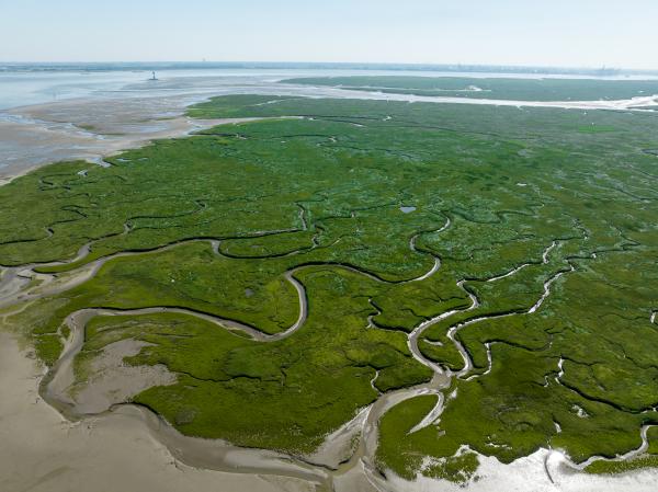 Het Verdronken Land van Saeftinghre vanuit de lucht