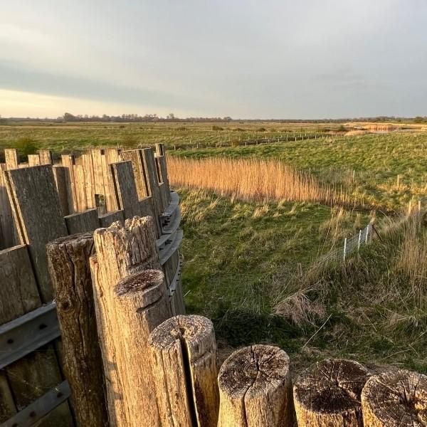 Doorkijk in weidevogelgebied Oude Veerse weg