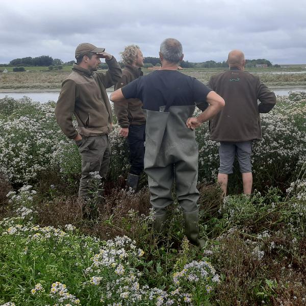 Beheer Waterdunen