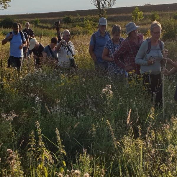 Groep mensen loopt door Slikken van de Heen