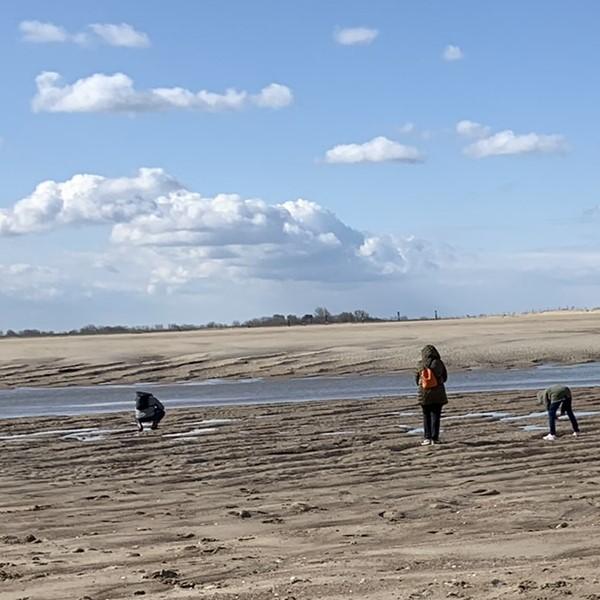 Mensen op het strand van Het Zwin