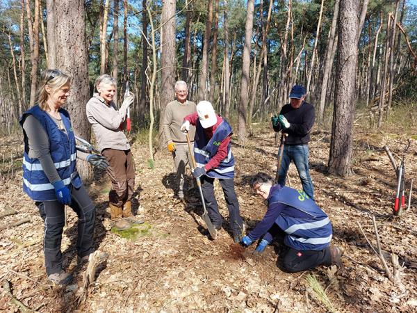 Vrijwilligers helpen in het bos