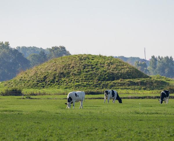 Vliedberg bij Hoogelande