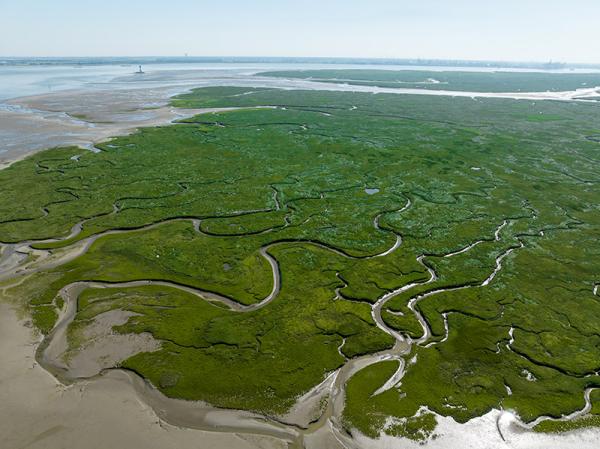 Dronebeeld van Saeftinghe