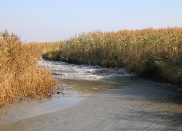 Hoogwater Experience in Saeftinghe