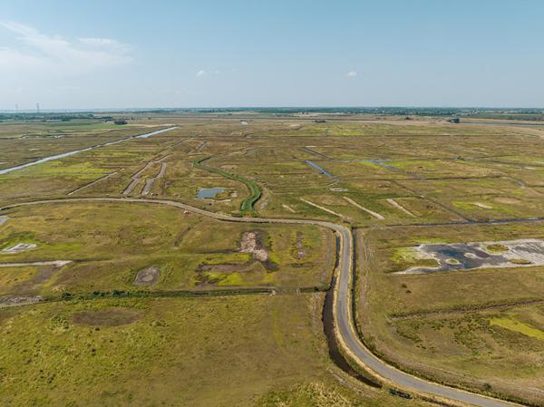 Luchtfoto Yerseke Moer
