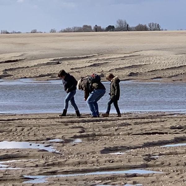 Groep mensen loopt over het strand van Het Zwin