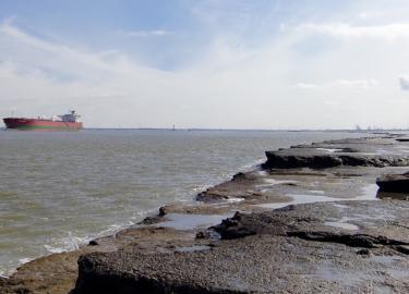 Turfbank in Het Verdronken Land van Saeftinghe