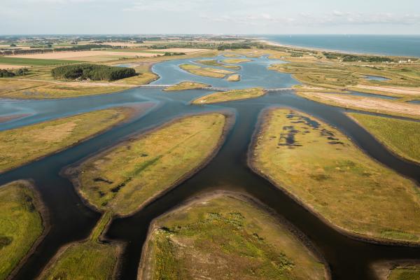 Waterdunen dronebeeld gebied