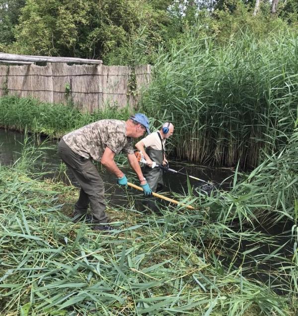 Werk in de Eendenkooi
