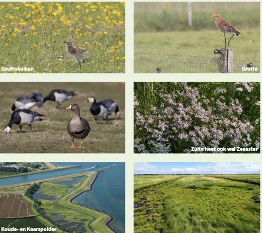 Geopark Yerseke Moer