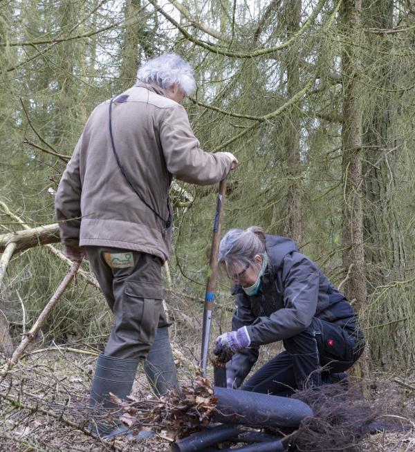 Aanplant Waterwinbossen