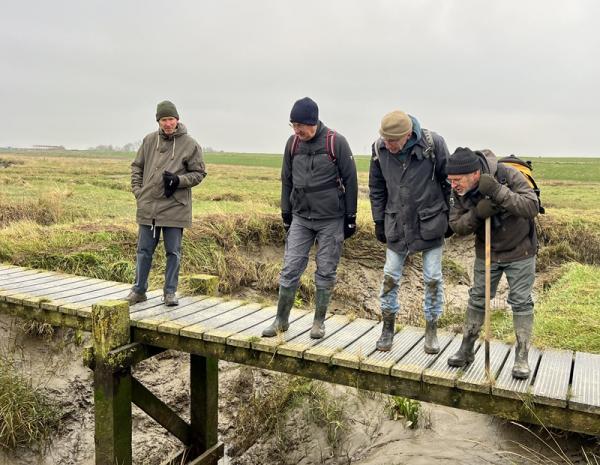 Saeftinghe plankierpad - excursie Verdronken vehalen