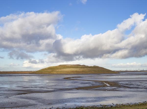 Hedwigepolder met panoramaheuvel en geulen in beeld