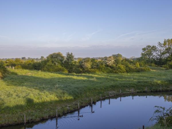 Foto van heggen en watergang in Heggenreservaat Arnemuiden