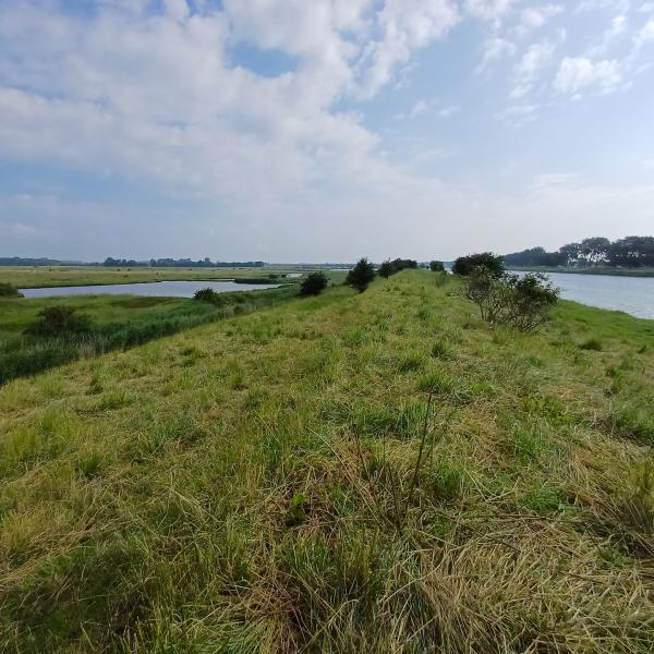 Wandelen Walcheren, Oude Veerseweg, Zeeland