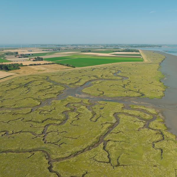 Wandelen Tholen & Sint Philipsland, Rumoirtschorren
