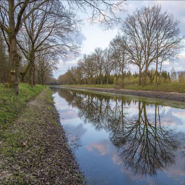 Bossen in Zeeland, Clingse bossen in Zeeuws-Vlaanderen.jpg
