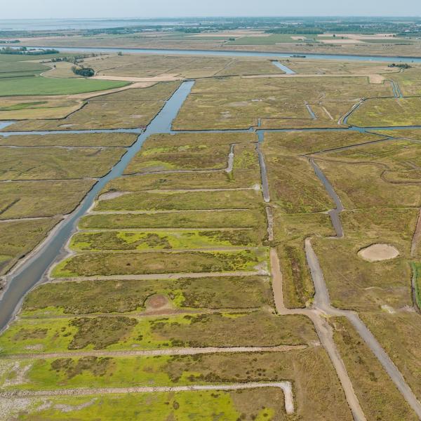 Nationaal Park Oosterschelde - Yerseke Moer