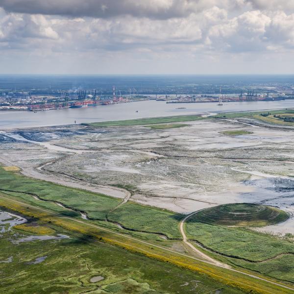 Vogelkijkhut Saeftinghe overzicht Hedwigepolder en Het Verdronken Land van Saeftinghe