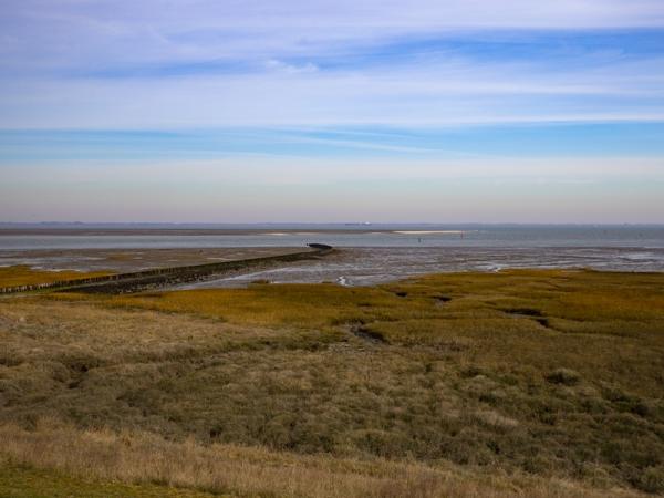 Paulinaschor - mooie natuur langs Westerschelde